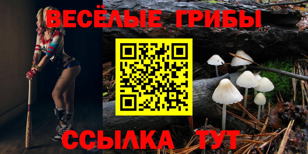 Минеральные Воды  Псилоцибиновые грибы Cubensis  Вход с VPN 